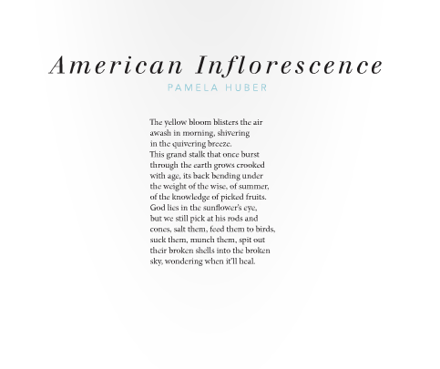 american inforescence zoomed in.png